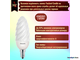 Philips Twisted Candle BW 5w 827 E14