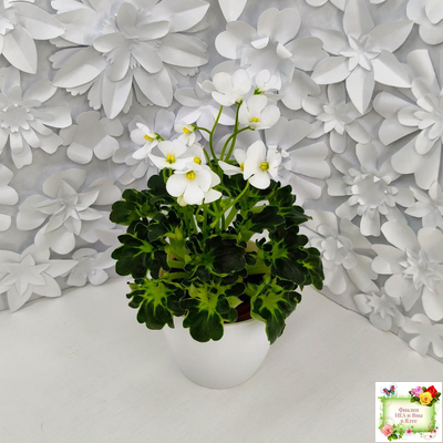 Lullaby (Arndt) (гёрл-лист)