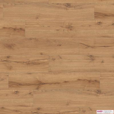 Декор ламината Haro Tritty 100 Campus Дуб Альпийский натур 532063 фронт