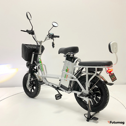 Электровелосипед GreenCamel Транк Монстр (R16FAT 800W 48V15Ah) гидравл. тормоз