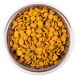 Monge Cat Speciality Line Monoprotein (Монж) для котят, с уткой 400 г