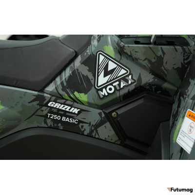Бензиновый квадроцикл MOTAX GRIZLIK T250 BASIC зеленый