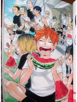 Оригинальный Арт Бук Haikyuu!! Color Illustration Shuu Haikara!! (Волейбол!!)