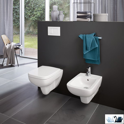 Унитаз подвесной Geberit Renova Plan 202170000, безободковый