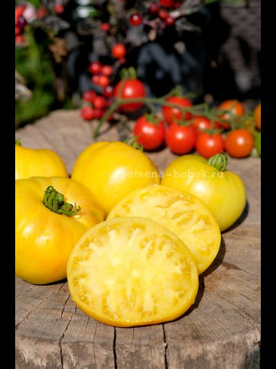 Томат Манго Минусинское, 10 шт
