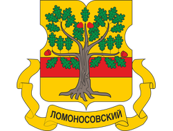 РЕКЛАМА В ЛИФТАХ ЭЛИТНЫХ ДОМОВ РАЙОН ЛОМОНОСОВСКИЙ