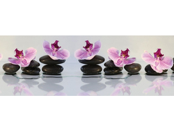 МДФ 035 Орхидеи Спокойствие  -  фартук для кухни 6мм