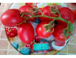 Томат Сахарная слива малиновая