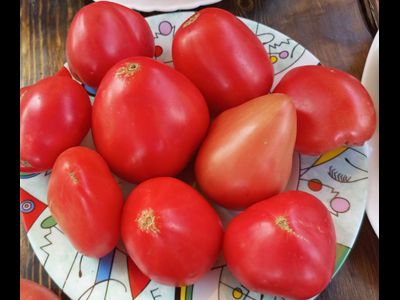 Томат Яйцо Быка с реки Гуадаррама (Huevo Toro Del Rio Guadarrama)