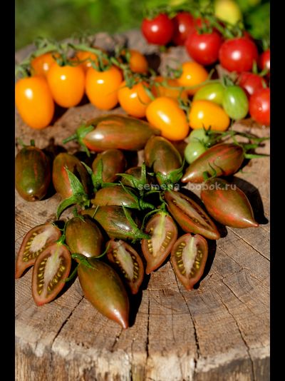 Томат Purple smaragd (Фиолетовый изумруд), 10 шт