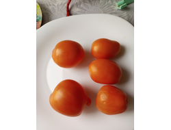 Томат Золото Колчака