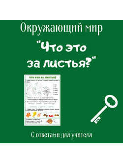 Рабочий лист. 1 класс. "Что это за листья?"