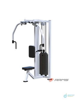 Баттерфляй-задние дельты