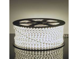 Ecola Лента св/д 220V 12x7 9.6W/m 120Led/m IP68 4200K 4K (кратно 10!) S10V09ESB (цена за 1м)