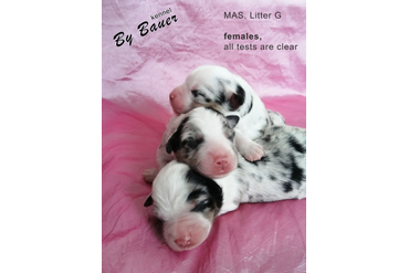 Девочки, 3 дня