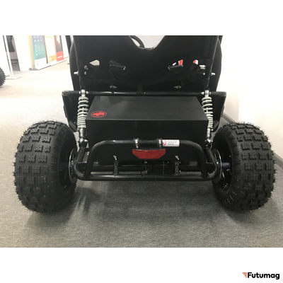 Багги SCANMOTO RAPID II
