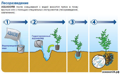 Метод внесения Аквасорб (Aquasorb) в посадочную лунку