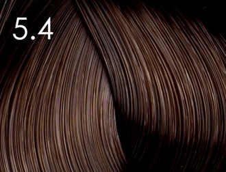 тон «5.4. Лесной орех»  Артикул: 8257