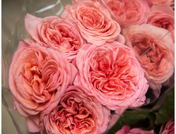 Лондон ай (London Eye), De Ruiter, пионовидная.