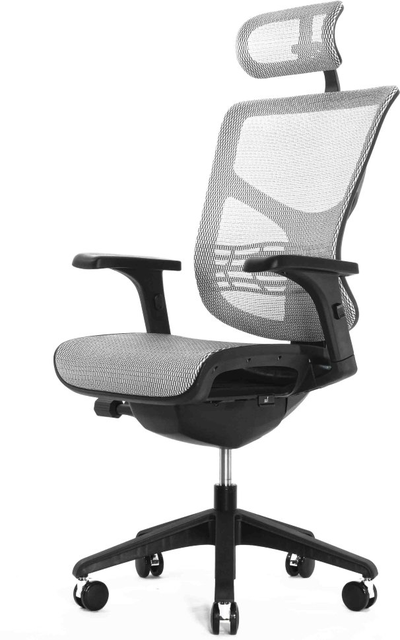 Эргономичное кресло Expert Vista black, белая сетка