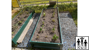 Дорожки для грядок между грядка