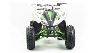 Купить Квадроцикл MOTOLAND COYOTE 125