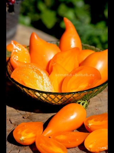 Томат Orange Walk (Оранжевая Прогулка), 10 шт