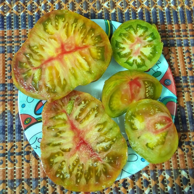 Томат Грин копия (Зеленая копия, Grin copia)