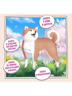 ZILLII Adult Large Breed Корм сухой для взрослых собак крупных пород Индейка с Ягненком  3 кг