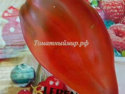 Томат Кубинский перцевидный