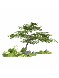 клумбы Альпинарий Garden Landscape