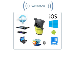 Бюджетная видеоняня /WiFi видеокамера CleverDog Мишка Тедди с DVR (комплект)