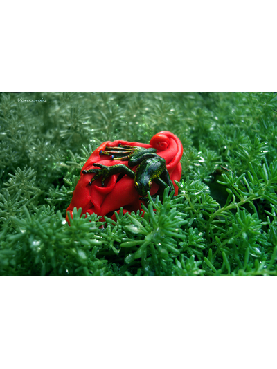 Экзотическая брошь &quot;Тропическая лягушка&quot;