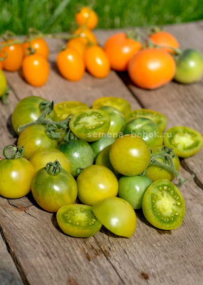 Томат Гном Beautiful Ones (Красотки), 10 шт