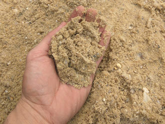 Образцы мытого песка