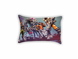 Подушки Borderlands, Бордерленд №20