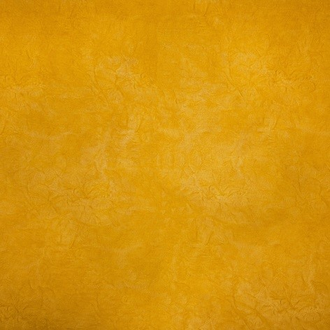 Кресло Клуб Portofino yellow