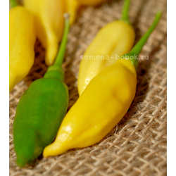 Перец острый Aji Lemon Drop (Ахи Лемон Дроп), 10 шт