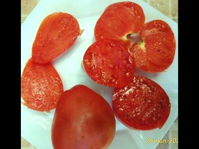 Томат Венгерский овал (Hungarian Oval)