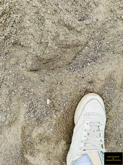 песок крупный