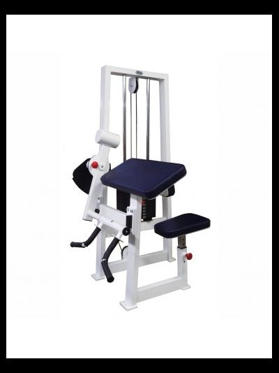 Бицепс-трицепс машина 2 в 1 60 кг AV248/80