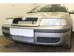 Защита радиатора Skoda Oktavia 2000-2011 chrome