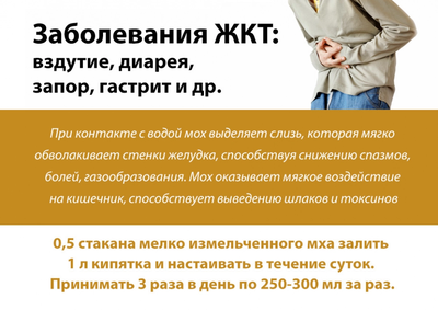 Исландский мох в пирамидках