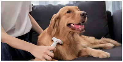 Расческа для животных Xiaomi Pawbby Type Anti-Hair Cutter Comb MG-PCO001-GL White