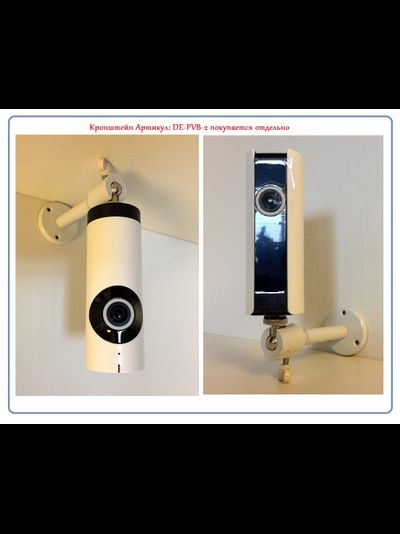 Видеоняня /WiFi видеокамера панорамная с DVR (fish_G), HD)