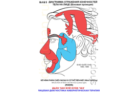 ДЕРМАТОЛОГИЯ