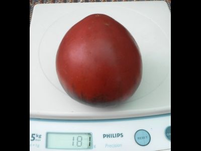 Томат Сержант Пеппер (Sgt Peppers ), США