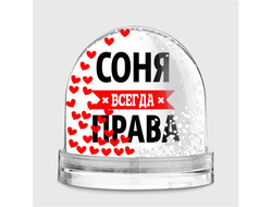 Водяной шар Соня Всегда Права