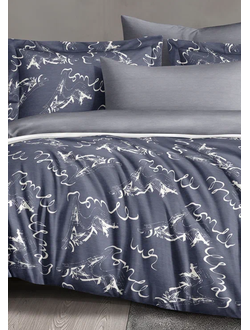 Постельное белье Cleo двуспальное сатин 175х215х1 200х220х1 70х70х2 20/037-SL