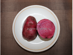Картофель Adirondak Red